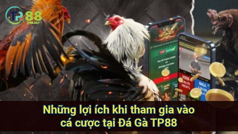 Đá Gà TP88 - Khám Phá Thế Giới Cá Cược Đầy Hấp Dẫn Và Kỳ Thú 1 nhung-loi-ich-khi-tham-gia-vao-ca-cuoc-tai-da-ga-tp88